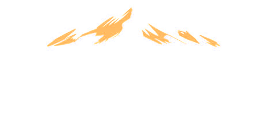 UMF, Unity Mentorship Foundation